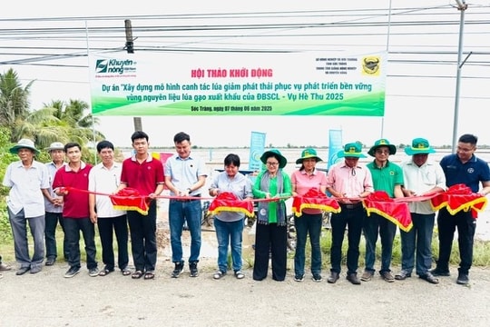 Công ty CP Phân bón Bình Điền: Đẩy mạnh Dự án "Xây dựng mô hình canh tác lúa giảm phát thải phục vụ phát triển bền vững vùng nguyên liệu lúa gạo xuất khẩu của đồng bằng sông Cửu Long".