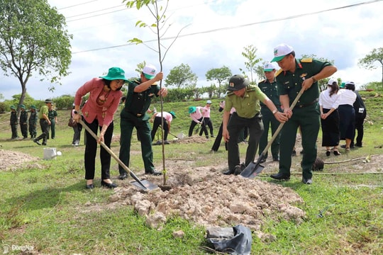Chỉ đạo quyết liệt, triển khai đồng bộ