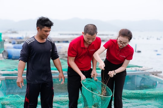 Agribank - Vững thế chủ lực đối với “trụ đỡ” nền kinh tế