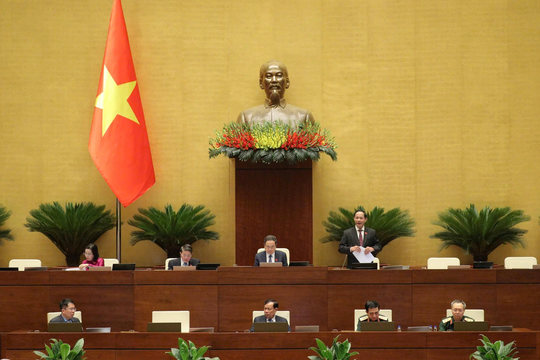 National Assembly adopts Law on Participation in UN Peacekeeping Operations