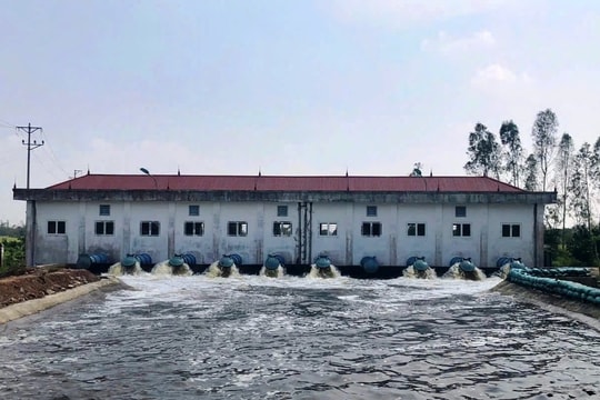 Hải Dương: Thanh tra phát hiện một số công trình về đê điều xuất hiện vết nứt, sụt lún