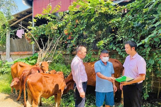 Khởi sắc Tân Sơn