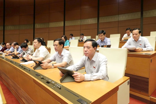 Dấu ấn của trí tuệ, trách nhiệm