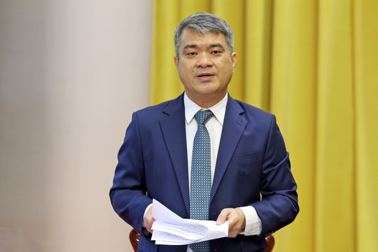 Các tỉnh, thành phố mới được chủ động, linh hoạt quyết định việc áp dụng văn bản quy phạm pháp luật