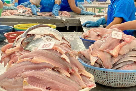 Chủ động thích ứng rào cản phi thuế quan