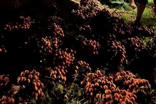 Vụ ô tô chở hàng tấn vải bị lật: “Không có chuyện người dân hôi vải”, trái lại còn ủng hộ nhiều tiền cho chủ xe