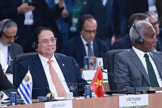 Vietnam presents five proposals to protect environment, global health at BRICS Summit