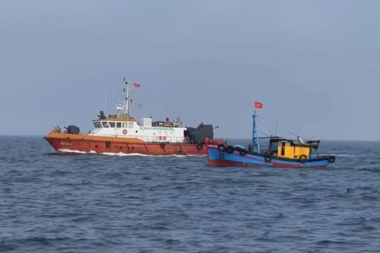 Dong Thap province intensifies efforts to combat IUU fishing