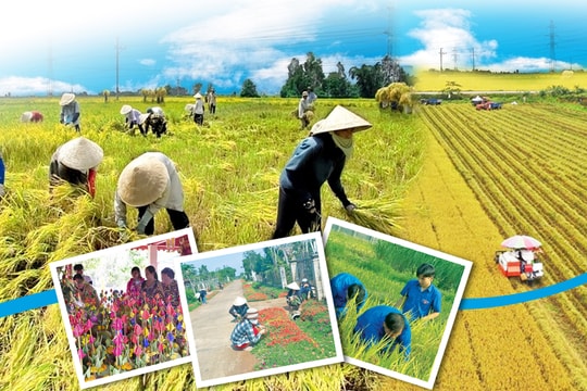 Gom người thành cộng đồng, gom việc nhỏ thành chuyện lớn