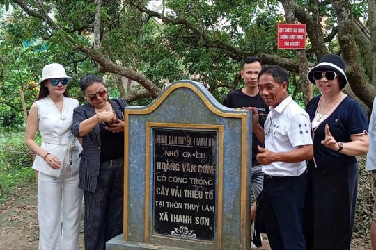 Đặc sản vải thiều Thanh Hà (Hải Phòng): Sức hút triệu đô từ trái cây được "số hóa"