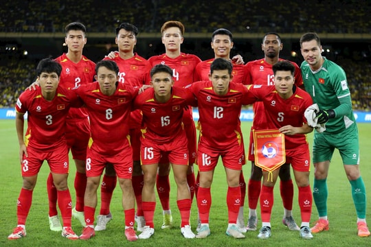 Đội tuyển Việt Nam xếp hạng 113 thế giới