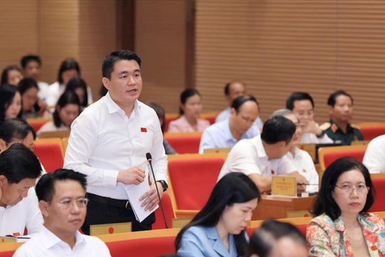 Tìm giải pháp căn cơ, hiệu quả, góp phần phát triển bền vững