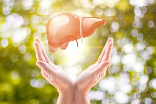 Muốn gan thải độc tốt, đừng bỏ qua những loại quả này