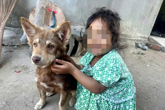 Đắk Lắk: Liên tiếp ghi nhận ca tử vong do bệnh dại