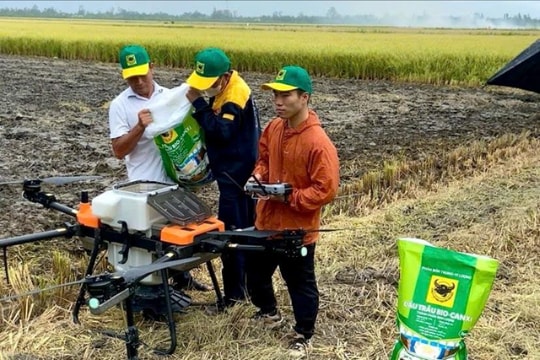 Chìa khóa cho canh tác lúa bền vững ở đồng bằng sông Cửu Long