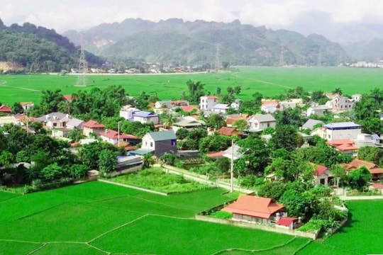 Sơn La đạt tỷ lệ giải ngân Chương trình 1719 cao nhất cả nước