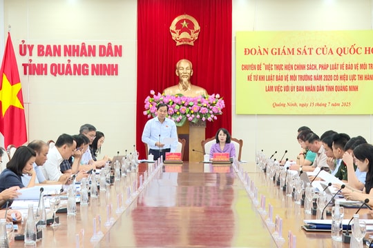 Giám sát thực thi Luật Bảo vệ môi trường tại Quảng Ninh: Cần hoàn thiện chính sách, nâng hiệu quả thực thi
