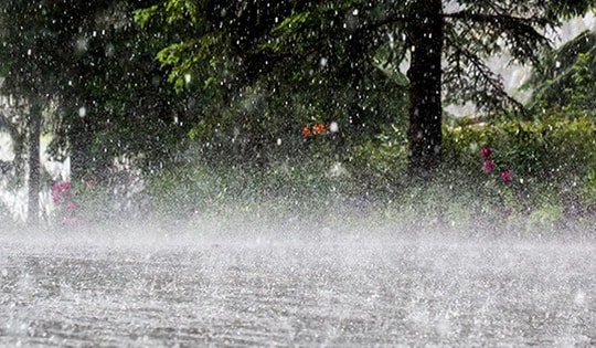 Dự báo thời tiết ngày 15/7: Chiều tối có mưa rào, có nơi mưa to