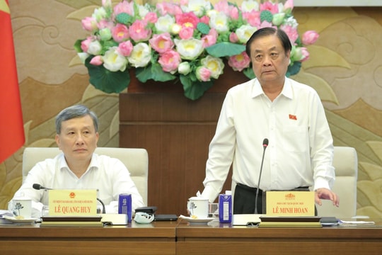 Phó Chủ tịch Quốc hội Lê Minh Hoan chủ trì làm việc với Tập đoàn Điện lực Việt Nam