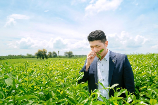 Lâm Đồng có nhiều tiềm năng để trở thành trung tâm trà của thế giới