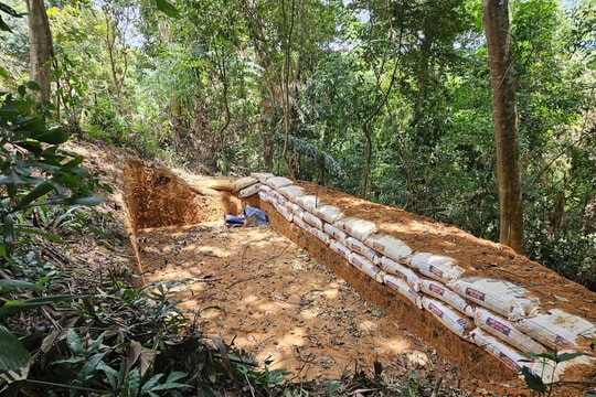 Quảng Trị: Tái bùng phát nạn “đãi cát tìm vàng”