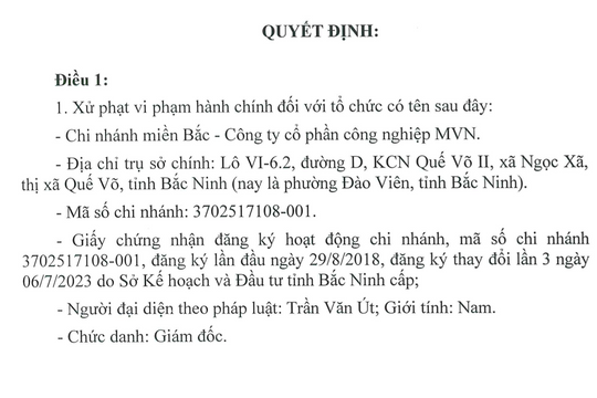 Bắc Ninh: Chi nhánh miền Bắc - Công ty CP công nghiệp MVN vi phạm pháp luật về môi trường