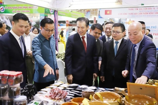 Vietnam, Laos strengthen economic cooperation for shared prosperity