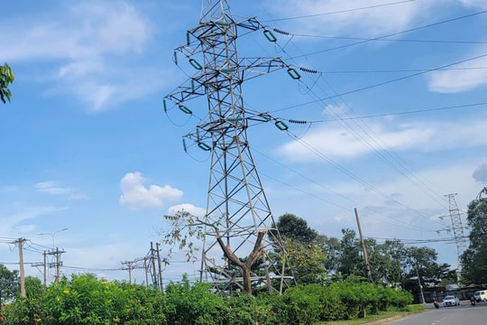 TP. Hồ Chí Minh: Kiến nghị 3 bộ hướng dẫn di dời lưới điện tại công trình trọng điểm