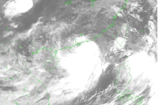 Dự báo thời tiết ngày 20/7: Bão số 3 Wipha tăng cấp, cách Quảng Ninh khoảng 705 km
