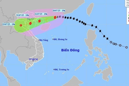 Hải Phòng yêu cầu đảm bảo an toàn tuyệt đối cho học sinh, giáo viên trước bão số 3 (Wipha)
