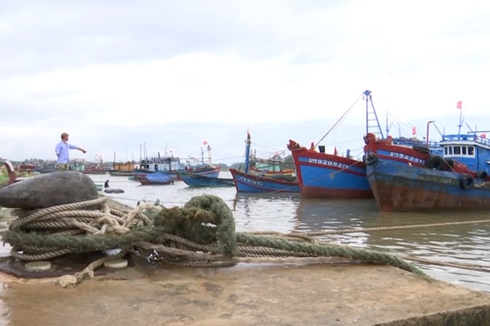 Quảng Trị: Phát cảnh báo kêu gọi tàu thuyền di chuyển đến vùng an toàn tránh bão số 3