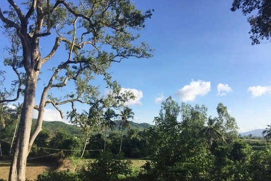 Tái hiện lịch sử sống động của các vùng đất