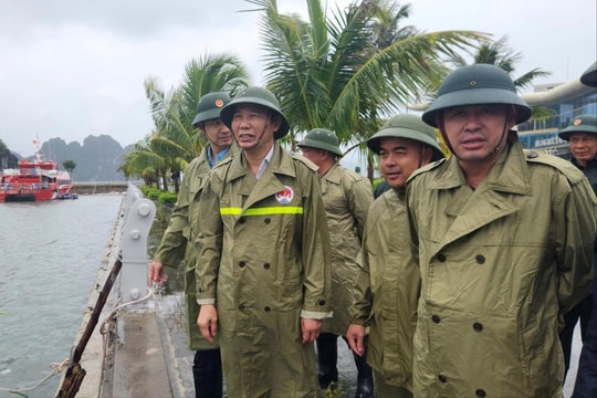 Quảng Ninh: Bảo đảm an toàn các khu neo đậu tàu thuyền, khu vực nuôi trồng thủy sản, hồ chứa, đê điều và hệ thống thông tin liên lạc