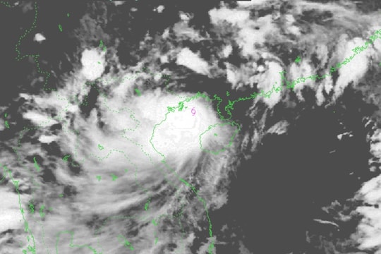 Bão số 3 Wipha tăng cấp, cách Quảng Ninh khoảng 80 km, gió giật cấp 13, biển động dữ dội