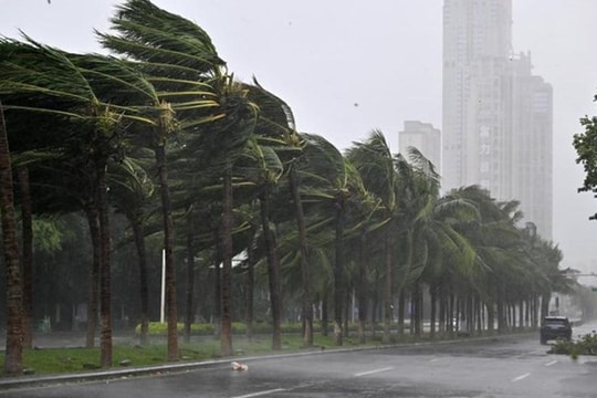 Nóng: Bão số 3 Wipha áp sát đất liền, cách Quảng Ninh 100km, gió giật cấp 12