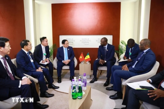 Vietnam, Senegal share strong foundation for boosting comprehensive cooperation: Senegalese official