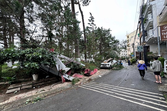 Lâm Đồng: Gió mạnh làm gãy đổ cây, hư hỏng ô tô