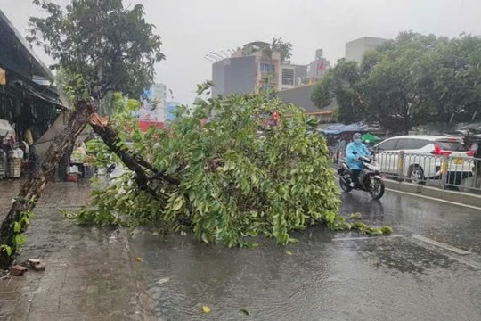 TP. Hồ Chí Minh sẵn sàng ứng phó bão số 3, bảo đảm an toàn tuyệt đối cho người dân