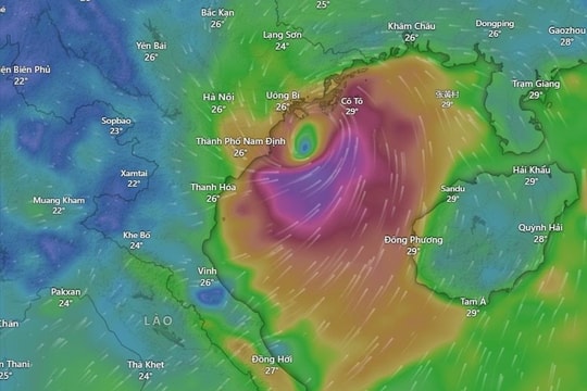 Ban Bí thư chỉ đạo tăng cường đôn đốc, kiểm tra, ứng phó với bão số 3, hạn chế thấp nhất thiệt hại