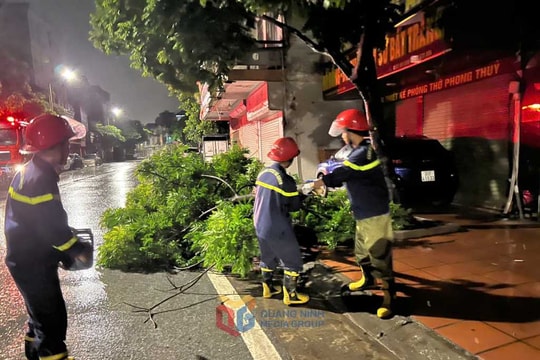 Bão số 3 Wipha: Từ 4h sáng, lực lượng cảnh sát Quảng Ninh đã tuần tra khẩn trương dọn dẹp cây xanh gãy đổ