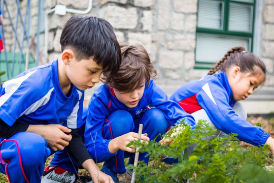 Giáo dục Hong Kong đón đầu AI: Cân bằng công nghệ và kỹ năng mềm