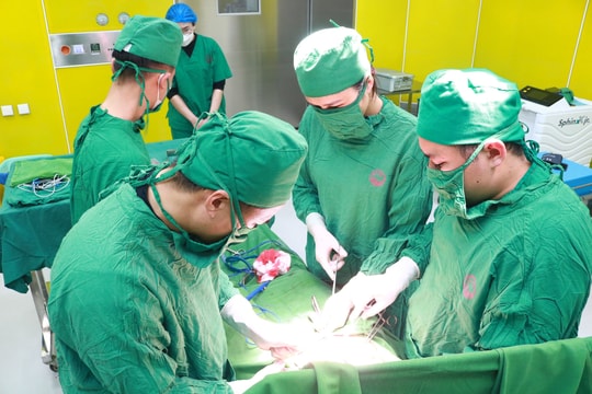 Kích hoạt báo động đỏ, cứu sống 2 sản phụ nguy kịch trong bão số 3 (Wipha)