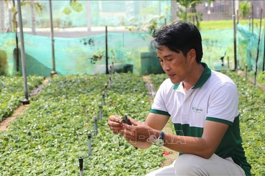 Nâng tầm tài nguyên địa phương