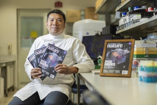 Singapore phát triển hệ thống AI dự đoán tái phát ung thư gan với độ chính xác cao