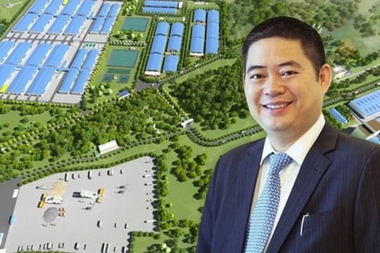 Về tay nhóm Xuân Thiện, được nhiều đại gia chi nghìn tỷ đầu tư, XTSC bắt đầu báo lãi trở lại