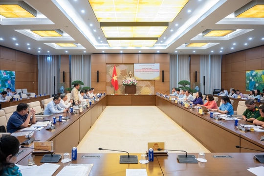 Môi trường sạch là thuốc phòng bệnh hiệu quả nhất