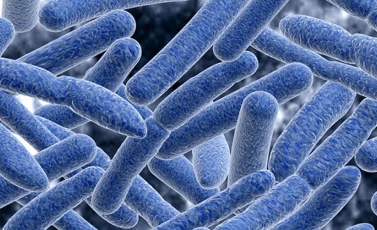 Bộ Y tế khuyến cáo: Chủ động phòng bệnh lỵ trực trùng cho trẻ nhỏ