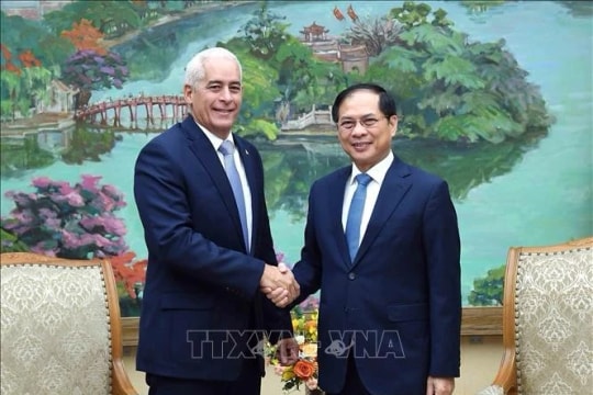 Deputy PM receives Cuban Deputy FM to strengthen bilateral ties