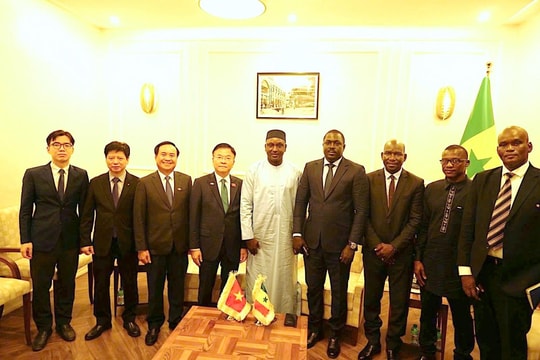 Việt Nam và Senegal thúc đẩy hợp tác trong lĩnh vực thủy lợi, nguồn nước