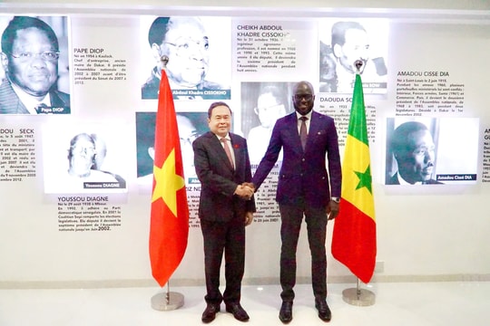 Tạo xung lực để Việt Nam - Senegal mở rộng hợp tác trên tất cả các lĩnh vực